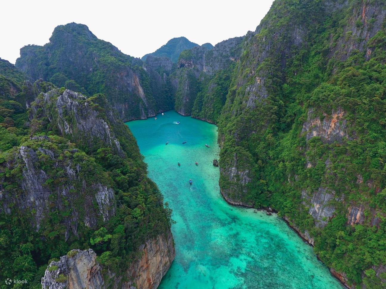 Phi Phi Paradise Phi Phi, Maya Area, Khai and Bamboo Island Snorkeling